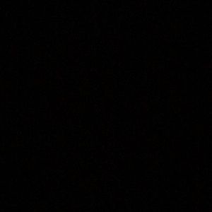 Meet your Posher, Bella